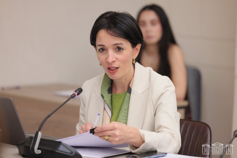 Երևանի դպրոցներում դասերը կսկսվեն ժամը 08:15-ին, մարզերում՝ 09:00-ին. ԱԺ հանձնաժողովում քննարկվել է «Կրթության մասին» օրինագիծը