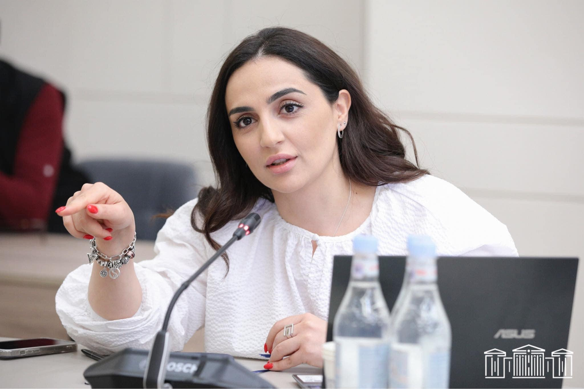 Անջատել էին Ծիծեռնակաբերդի լույսերը, շապիկներից հանել Արարատը, որ Թուրքիայի նախագահը չտեսնի դրանք. Ղազարյան