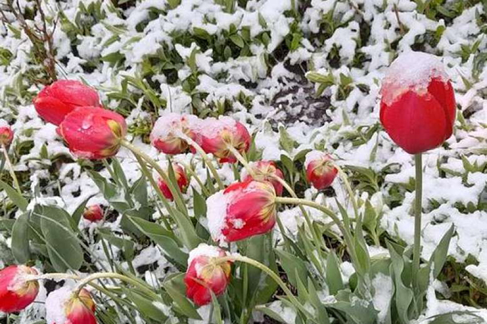 Օդի ջերմաստիճանը զգալի կնվազի, սպասվում է տեղումներ