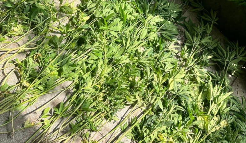 Blog single photo