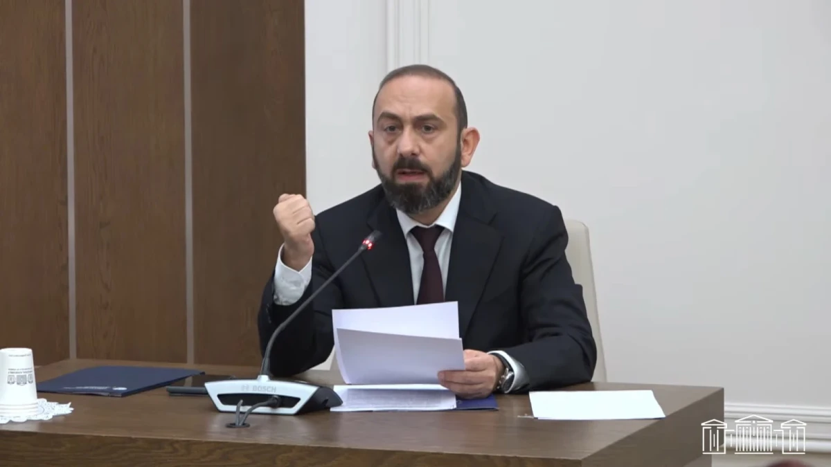 Կան գործընկերներ, որոնք ցանկանում են ՀՀ-ն տեսնել խեղճ՝ որպես բուտաֆորիա. Միրզոյան